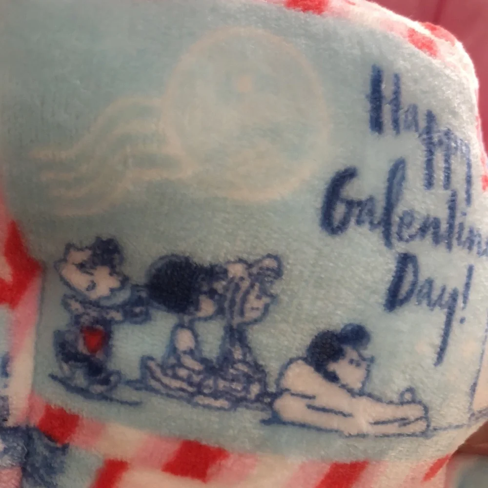 Cozy PEANUTS Pink Valentines Small Pet BED